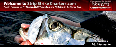 Tarpon Fishing